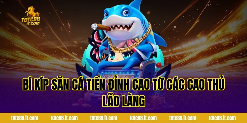 Bí kíp săn cá tiền đỉnh cao từ các cao thủ lão làng