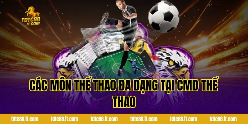 Các Môn Thể Thao Đa Dạng Tại CMD Thể Thao