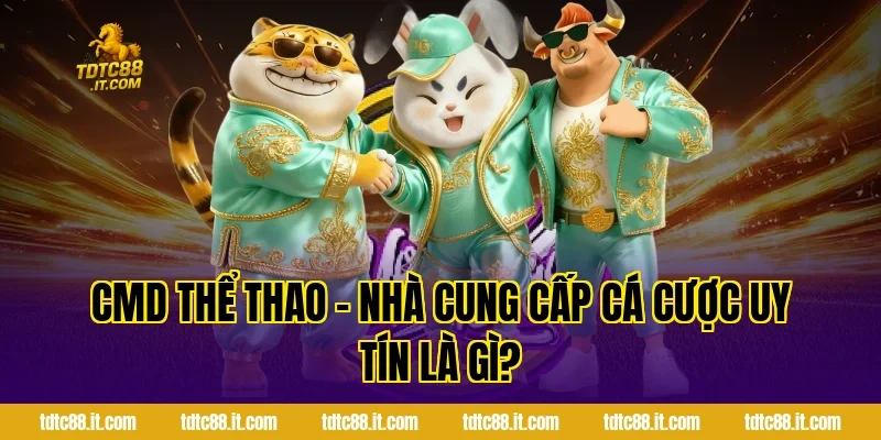CMD Thể Thao – Nhà Cung Cấp Cá Cược Uy Tín Là Gì?