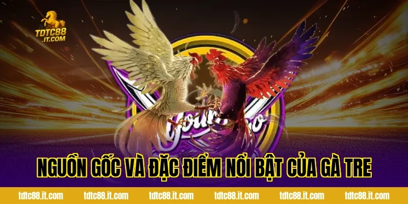 Nguồn Gốc Và Đặc Điểm Nổi Bật Của Gà Tre